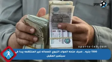 1500 جنيه.. صرف منحة المولد النبوي للعمالة غير المنتظمة يبدأ في سبتمبر المقبل